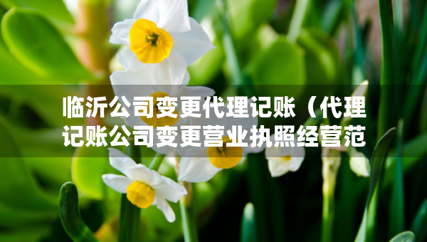 临沂公司变更代理记账（代理记账公司变更营业执照经营范围费用）