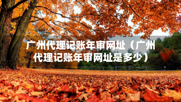 广州代理记账年审网址（广州代理记账年审网址是多少）