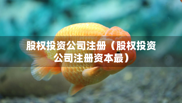 股权投资公司注册（股权投资公司注册资本最）