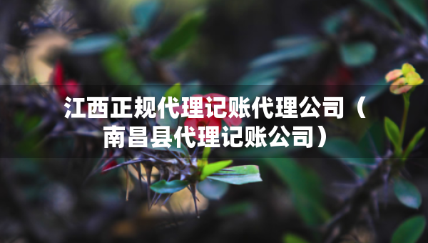 江西正规代理记账代理公司（南昌县代理记账公司）