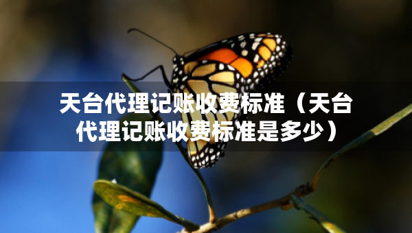 天台代理记账收费标准（天台代理记账收费标准是多少）