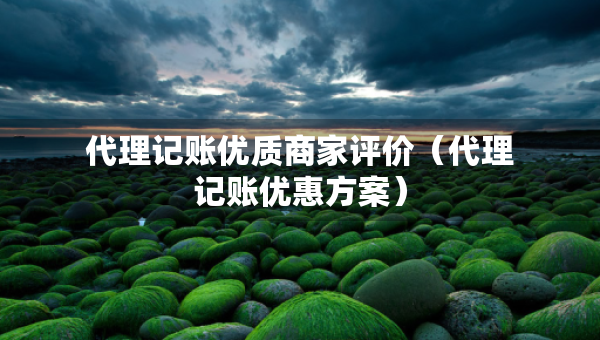 代理记账优质商家评价（代理记账优惠方案）