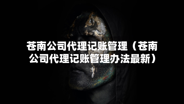苍南公司代理记账管理（苍南公司代理记账管理办法最新）