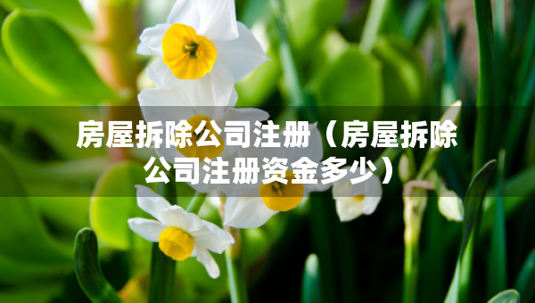 房屋拆除公司注册（房屋拆除公司注册资金多少）
