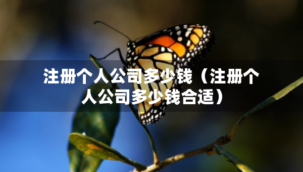 注册个人公司多少钱（注册个人公司多少钱合适）