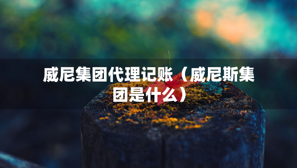 威尼集团代理记账（威尼斯集团是什么）