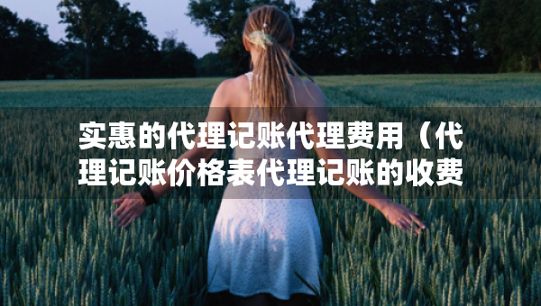 实惠的代理记账代理费用（代理记账价格表代理记账的收费标准）