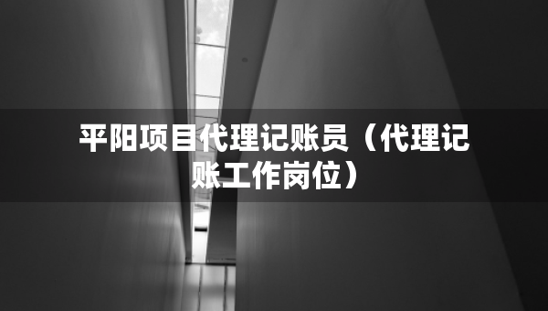 平阳项目代理记账员（代理记账工作岗位）