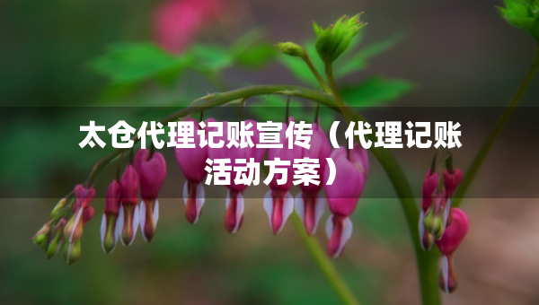 太仓代理记账宣传（代理记账活动方案）