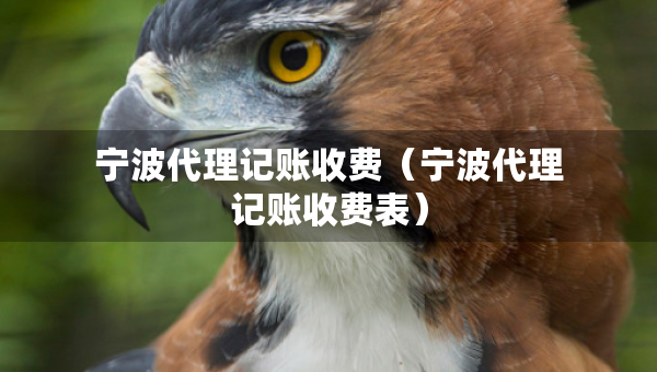 宁波代理记账收费（宁波代理记账收费表）