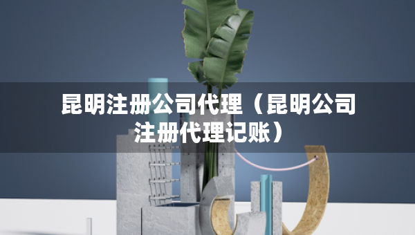 昆明注册公司代理（昆明公司注册代理记账）