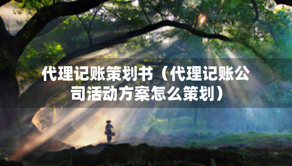 代理记账策划书（代理记账公司活动方案怎么策划）