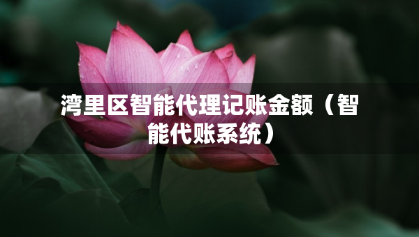 湾里区智能代理记账金额（智能代账系统）