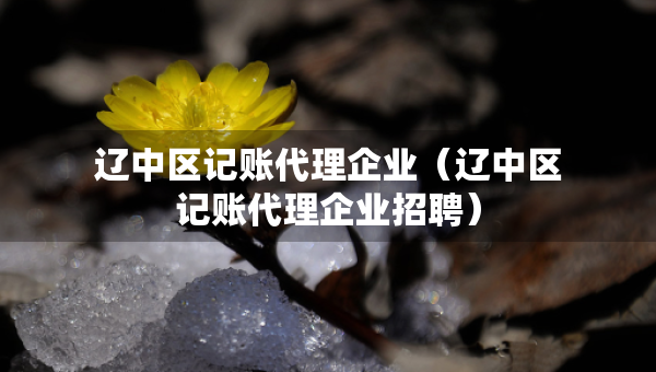 辽中区记账代理企业（辽中区记账代理企业招聘）