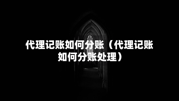 代理记账如何分账（代理记账如何分账处理）