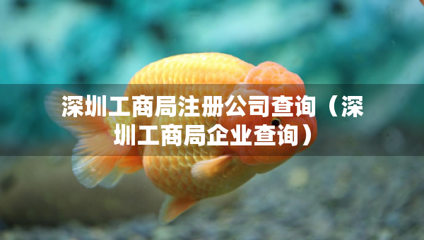 深圳工商局注册公司查询（深圳工商局企业查询）