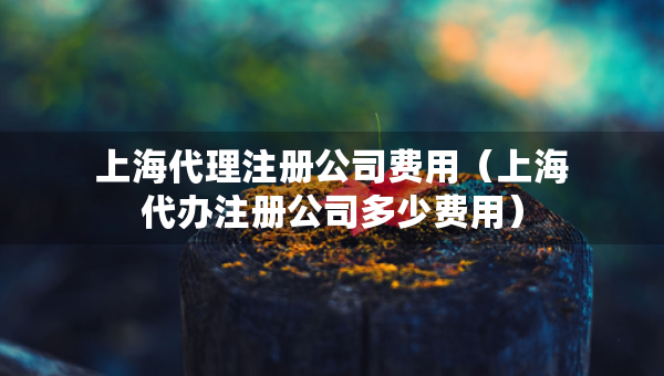 上海代理注册公司费用（上海代办注册公司多少费用）