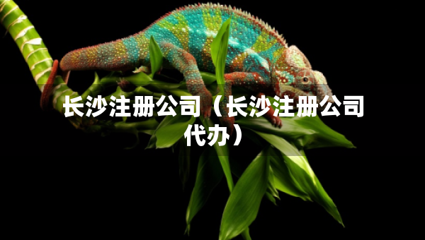 长沙注册公司（长沙注册公司代办）