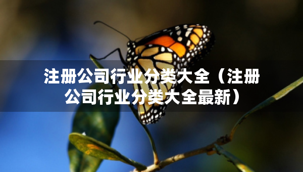 注册公司行业分类大全（注册公司行业分类大全最新）