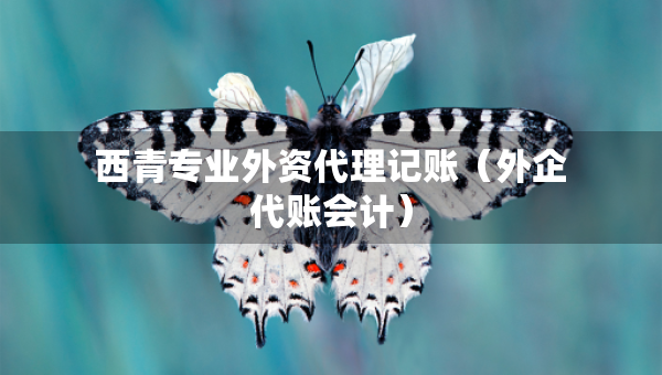西青专业外资代理记账（外企代账会计）