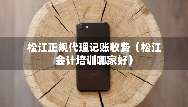 松江正规代理记账收费（松江会计培训哪家好）