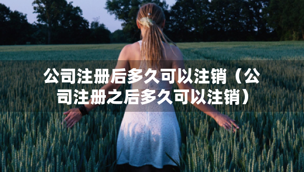公司注册后多久可以注销（公司注册之后多久可以注销）