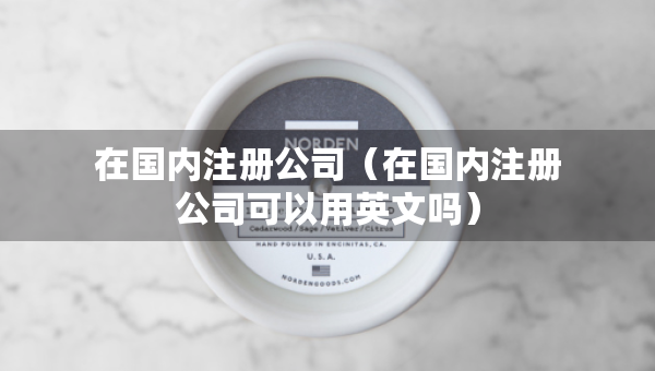 在国内注册公司（在国内注册公司可以用英文吗）