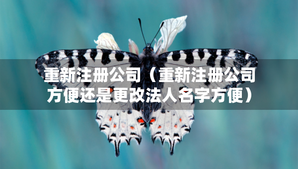 重新注册公司（重新注册公司方便还是更改法人名字方便）