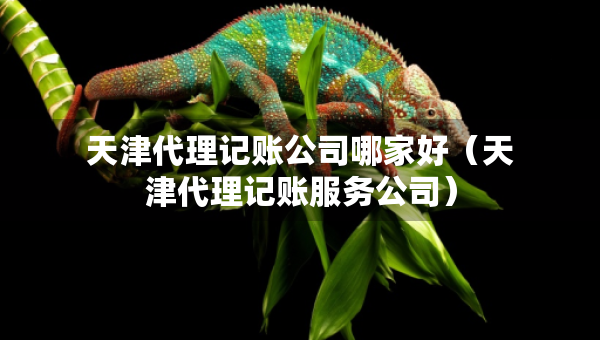 天津代理记账公司哪家好(天津代理记账服务公司) 天津代理记账公司哪家好(天津代理记账服务公司)
