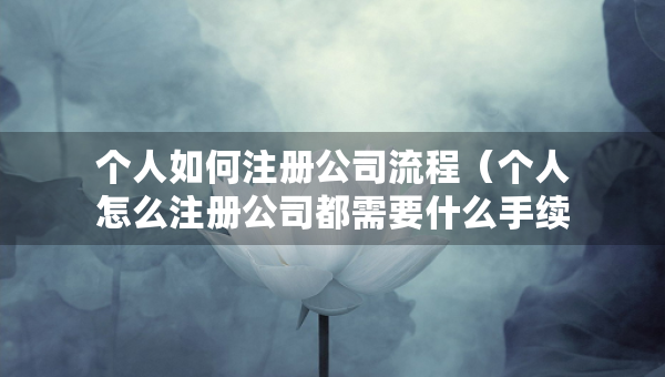 个人如何注册公司流程（个人怎么注册公司都需要什么手续）