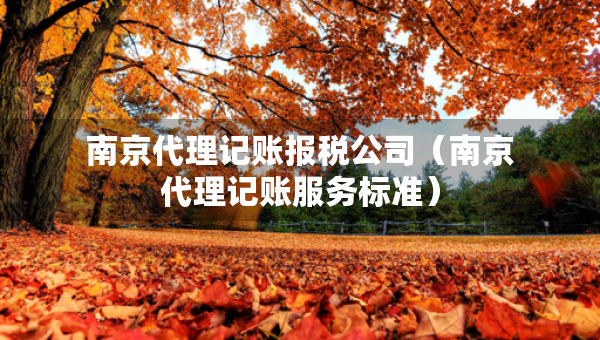 南京代理记账报税公司（南京代理记账服务标准）