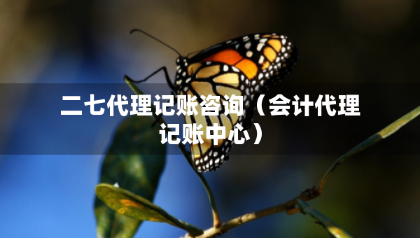 二七代理记账咨询（会计代理记账中心）