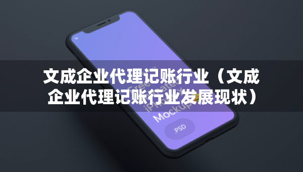 文成企业代理记账行业（文成企业代理记账行业发展现状）