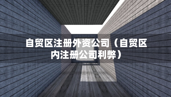 自贸区注册外资公司（自贸区内注册公司利弊）