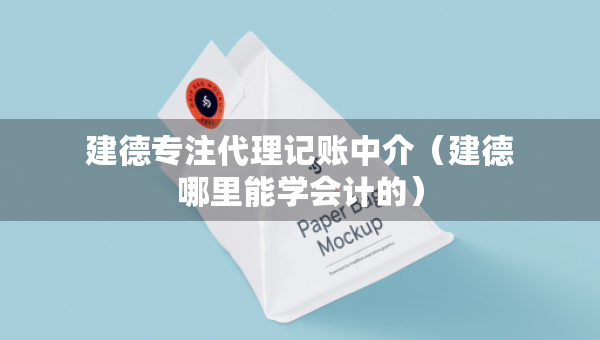 建德专注代理记账中介（建德哪里能学会计的）