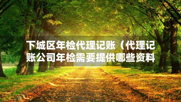 下城区年检代理记账（代理记账公司年检需要提供哪些资料）