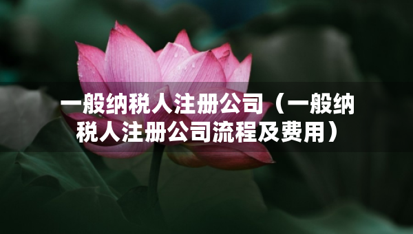 一般纳税人注册公司（一般纳税人注册公司流程及费用）
