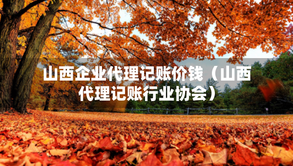 山西企业代理记账价钱（山西代理记账行业协会）
