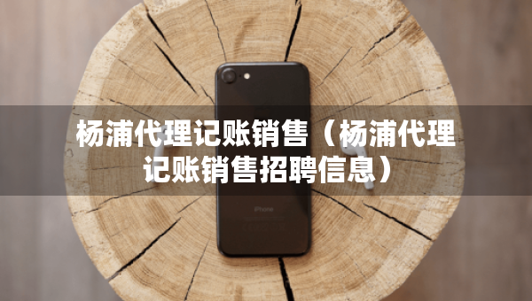 杨浦代理记账销售（杨浦代理记账销售招聘信息）
