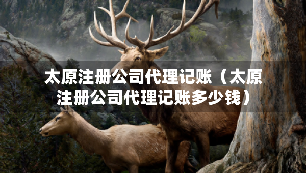 太原注册公司代理记账（太原注册公司代理记账多少钱）