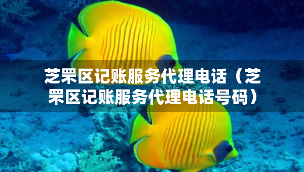 芝罘区记账服务代理电话（芝罘区记账服务代理电话号码）
