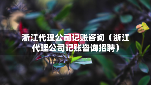 浙江代理公司记账咨询（浙江代理公司记账咨询招聘）