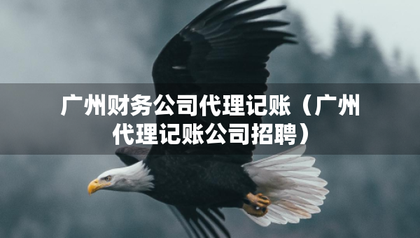 广州财务公司代理记账（广州代理记账公司招聘）