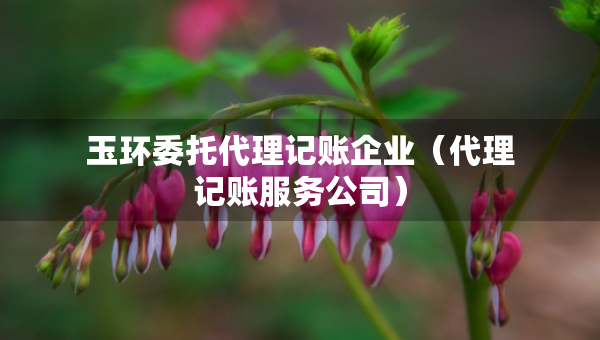 玉环委托代理记账企业（代理记账服务公司）