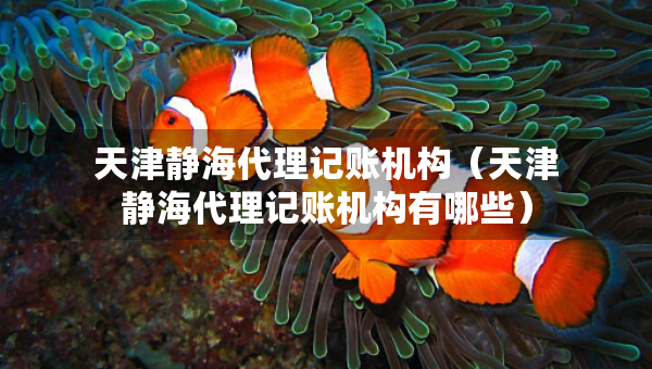 天津静海代理记账机构（天津静海代理记账机构有哪些）