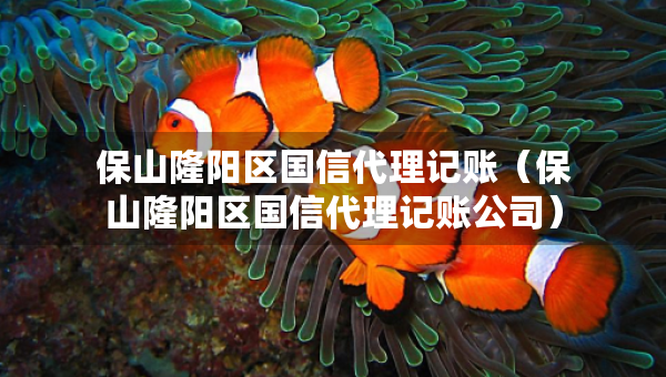保山隆阳区国信代理记账（保山隆阳区国信代理记账公司）
