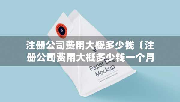 注册公司费用大概多少钱（注册公司费用大概多少钱一个月）