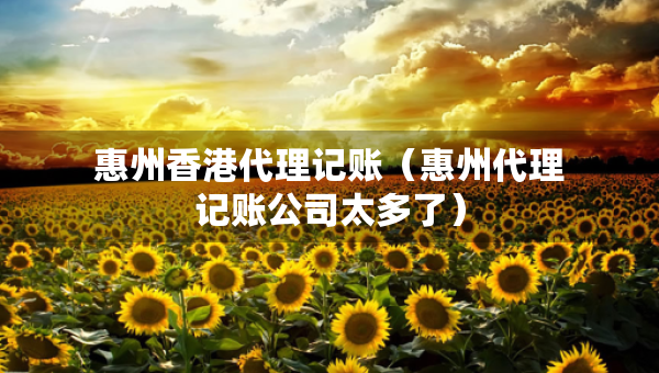 惠州香港代理记账（惠州代理记账公司太多了）