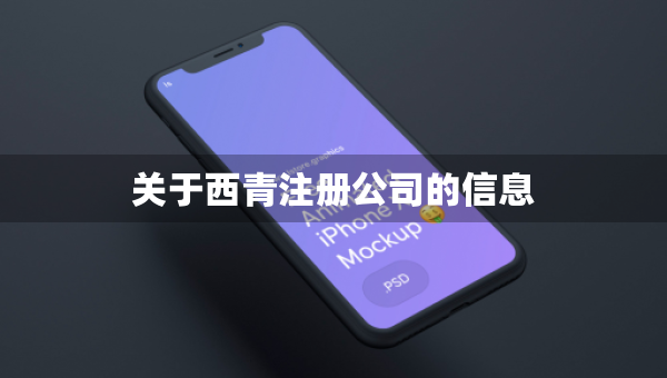 关于西青注册公司的信息
