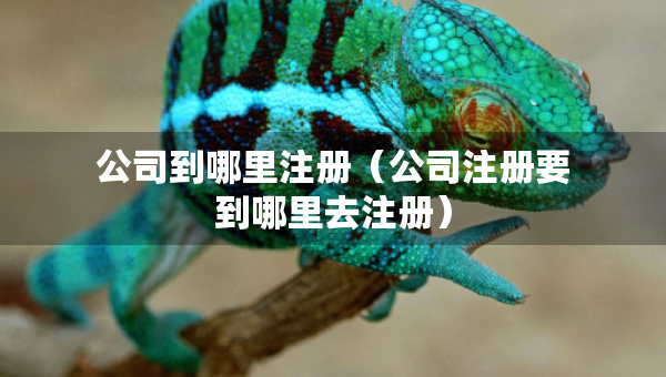 公司到哪里注册（公司注册要到哪里去注册）